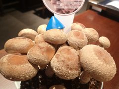 -捞王锅物料理(四川北路店)