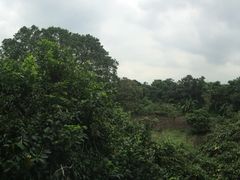 开心农场-开心农场温泉度假村