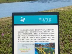 -南汇新城城市公园