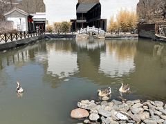 -荷塘味道(水长城店)