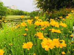 -江南大学(蠡湖校区)