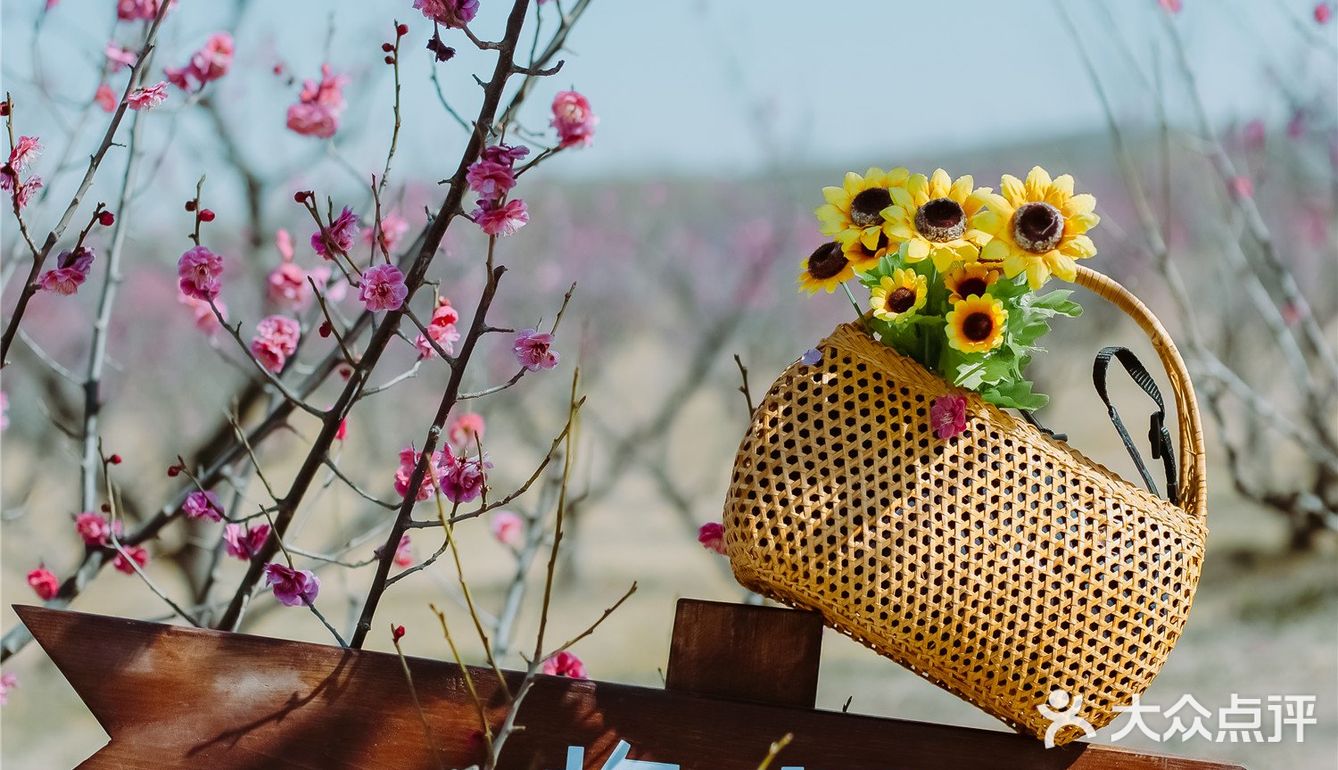 西安新晋赏花地——长安唐村