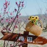 西安新晋赏花地——长安唐村