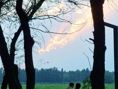 -东郊湿地公园