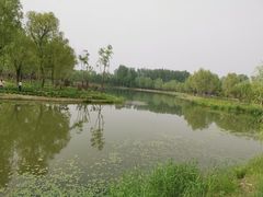 -东郊湿地公园