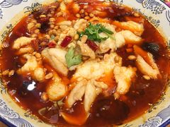 -巴依老爷新疆美食(望京小街店)