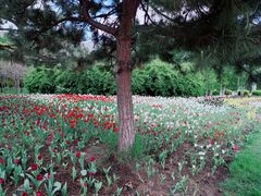 -长春公园(普阳街道)