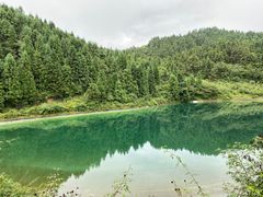 -武陵山森林公园