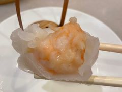 -金鼎轩(方庄天坛店)
