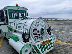 -呼兰河口湿地公园