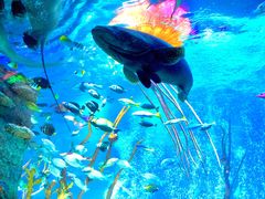 -沈阳海洋探索中心