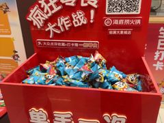 -海底捞火锅(铂澜大象城店)