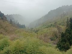 -南岳衡山风景名胜区