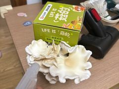 -芸山季·云南野生菌火锅(人民广场来福士店)