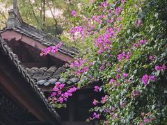 -成都杜甫草堂博物馆