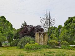 -白鹭湾湿地公园