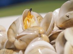 葱爆蛏子-高佳庄·舟山海鲜(海景旗舰店)