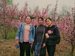 -淮海战役纪念馆
