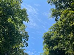 -莫干山风景区
