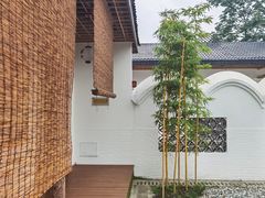 -桤木河湿地公园