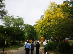-娲皇宫