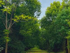 -上海海湾国家森林公园