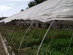 种植环境-意大利农场度假村