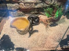 -秦皇岛新澳海底世界