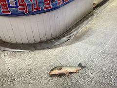 -桃源市场(解放路店)