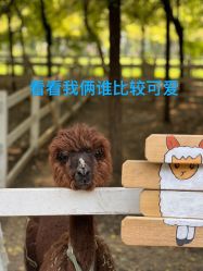 -优沃得自然教育农场·冰雪乐园·生日会·研学