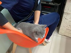 -纳吉亚猫专科动物医院博雅分院