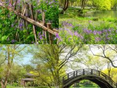 -杭州上天竺法喜讲寺