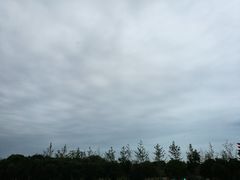 -MUSANG KING猫山王(龙湖杭州滨江天街店)