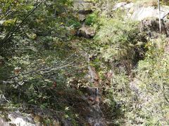 圆梦谷-罗田薄刀峰风景区