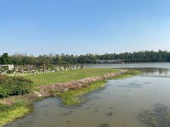 -上海海湾国家森林公园