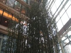 -上海雅居乐万豪侯爵酒店