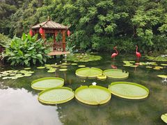-广州莲花山旅游区