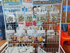 -蓝湾碧波·老字号·疍家非遗海上餐厅