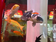 -秤砣砣·湖南粉面馆(青年路店)