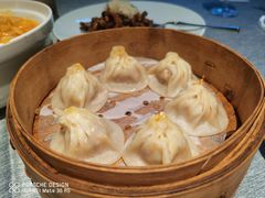 -绿波廊(豫园店)