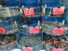 -北戴河庆山饭店·海鲜砂锅粥(北戴河黑石路店)