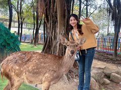 -广东花都香草世界旅游度假区