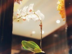 -上海西藏大厦万怡自助餐厅(徐汇店)