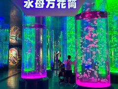 -海合安成都极地海洋公园