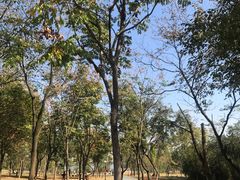 -盘龙城国家考古遗址公园