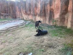 -杭州野生动物世界