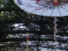 -苏州太湖国家湿地公园