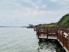 -厦门园林博览苑