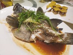 -海儀美食楼(湾仔海鲜街店)