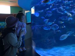 -海合安成都极地海洋公园